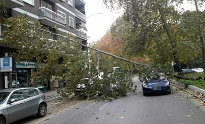 Degrado urbano tra caduta alberi bus a fuoco e spazzatura Degrado urbano tra caduta alberi bus a fuoco e spazzatura