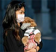 Cani e Gatti di fronte all'epidemia. Un cane risultato positivo a Hong Kong 