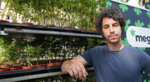 La marijuana è roba da Sardine, parola di Mattia Sartori