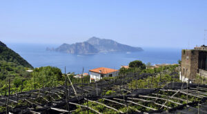 Termini di Massalubrense, una terrazza sull'isola di Capri