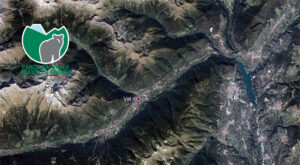 Orsi in Trentino. Il progetto di ripopolamento Life Ursus cominciò nel 1999 con il rilascio di 50 esemplari