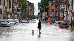 Insieme agli uomini l'alluvione in Emilia-Romagna ha colpito anche gli animali