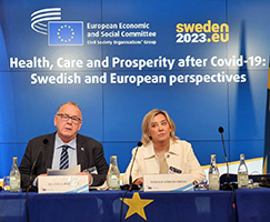 Un momento della conferenza sulla salute degli europei dopo il Covid19, che si è svolta il 26 maggio all'Europahuset di Stoccolma
