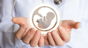 Dalla Corte Costituzionale una nuova sentenza a tutela dell'embrione