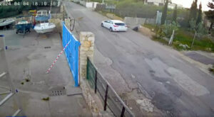 Alcamo. La cagnolina Nina un momento prima di essere deliberatamente investita e uccisa dall'autovettura. Nel video si percepisce bene la volontarietà del gesto.