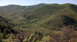 Il bosco delle Sette Valli, un’area di 90 ettari situata tra le gole del torrente Fersinone, nel comune di Marsciano